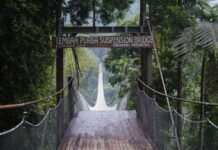 Jembatan Gantung Lembah Purba, Gerbang Menuju Keajaiban Alam yang Memukau